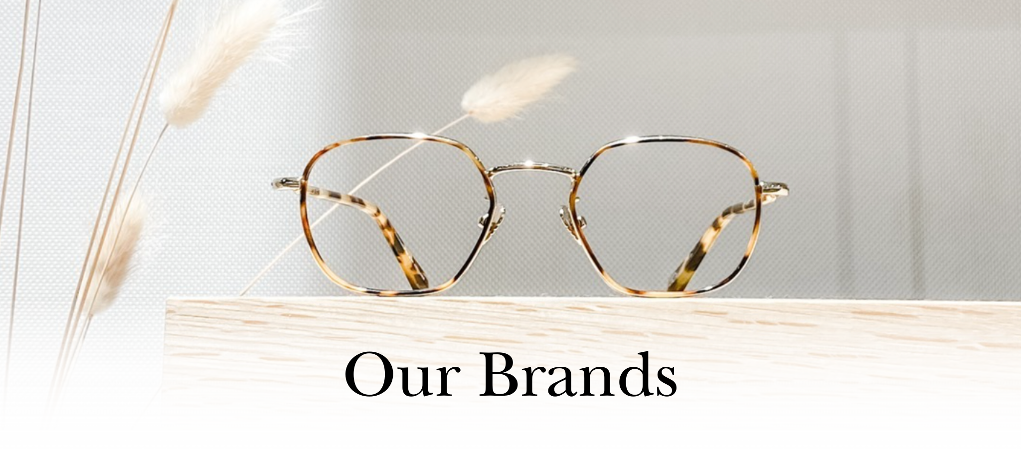 BRANDS Oculus Eye Gallery